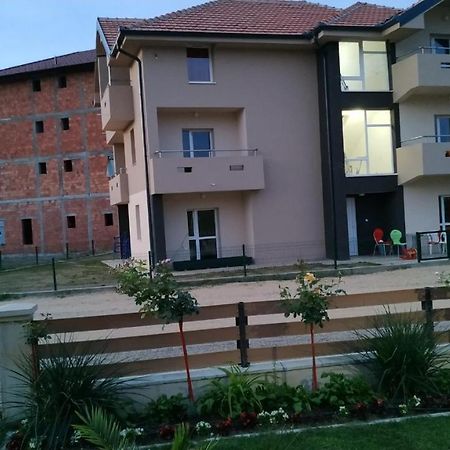 Srebrna Nit Daire Veliko Gradište Dış mekan fotoğraf